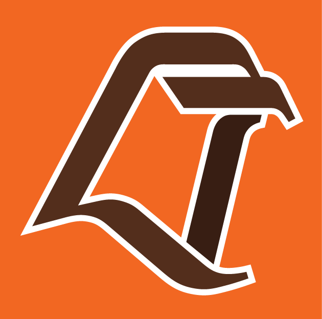 Bowling Green Falcons 1990-2005 Alternate Logo DIY iron on transfer (heat transfer)